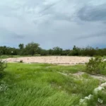 img-9811-sueann