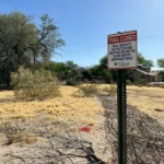 sm-trail-sign-rough-img-4187.webp